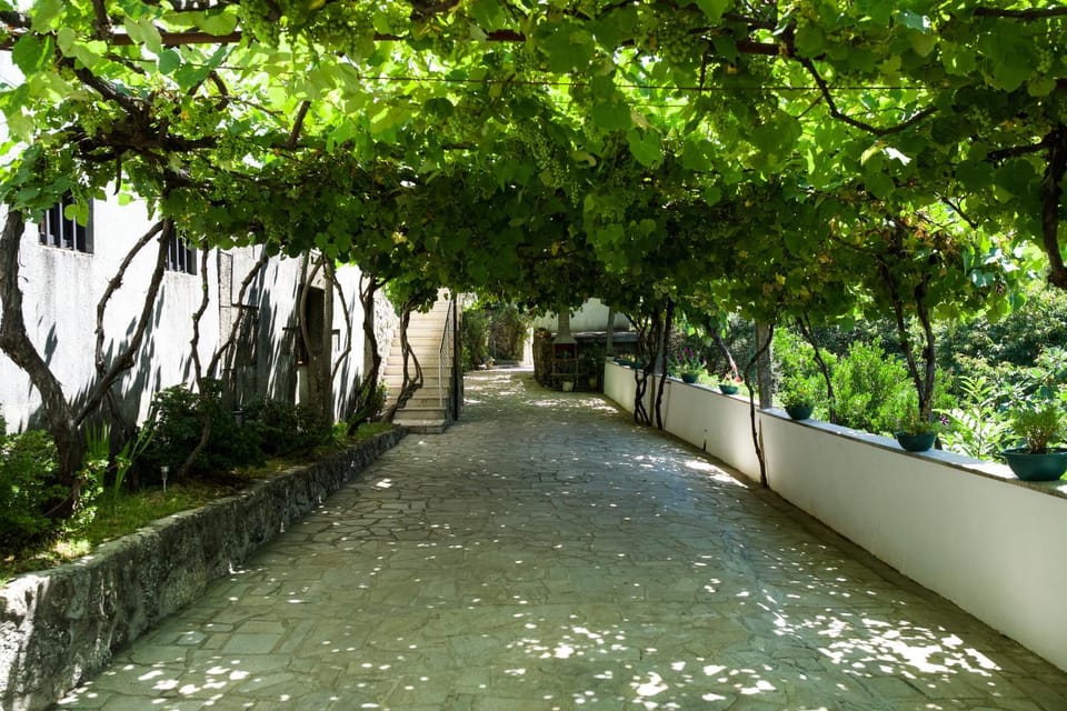 Casa de Férias V6 com piscina House in Viana do Castelo District, Portugal