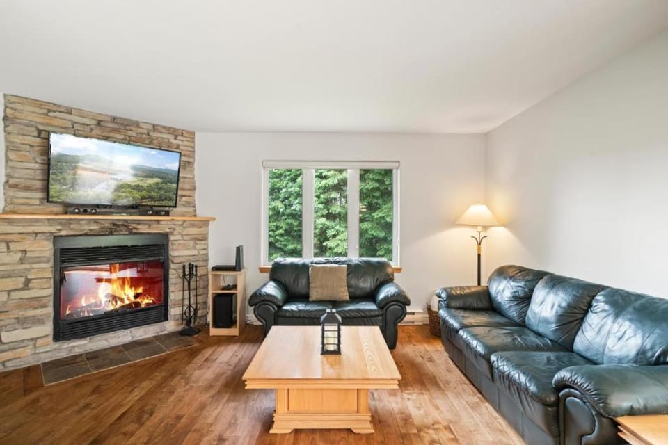 TV and multimedia, Living room, Seating area, Evening entertainment, fireplace