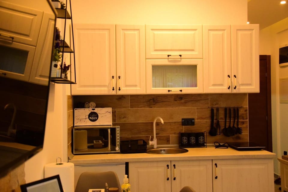 Kitchen or kitchenette, minibar