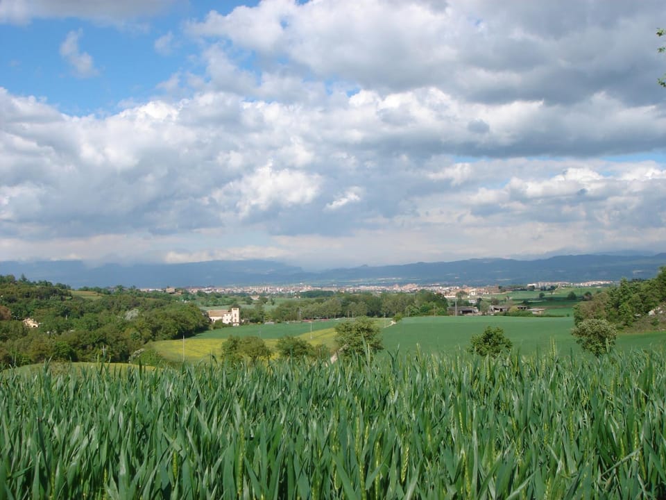 Natural landscape