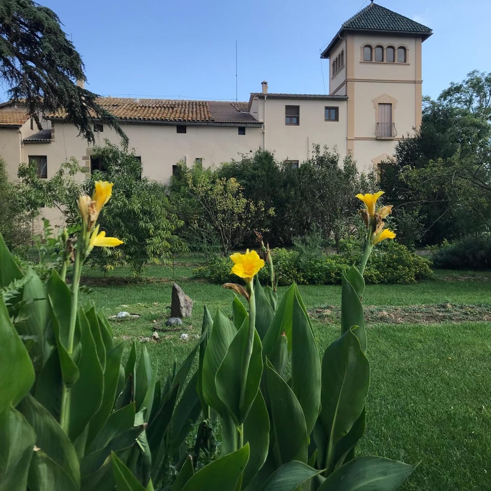 Property building, Garden, Garden view