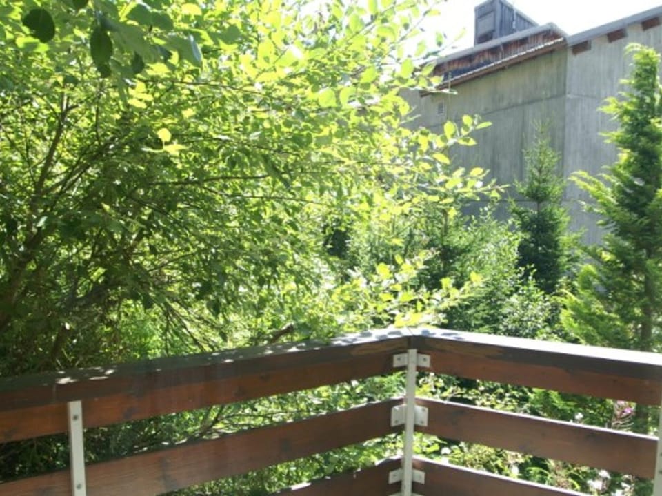 Studio cabine confortable avec balcon et animaux admis - FR-1-557-108 Cabin in Auvergne-Rhône-Alpes