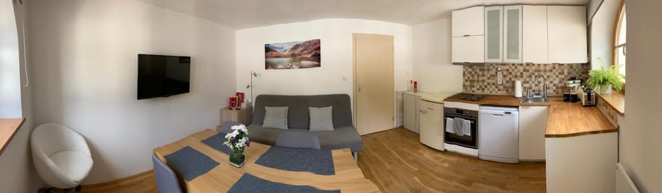 TV and multimedia, Kitchen or kitchenette, Living room, Seating area, Dining area, dishwasher, minibar, oven, pet friendly, stove, kitchen