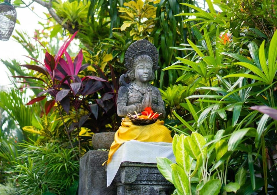 Natural landscape, Garden, Garden view