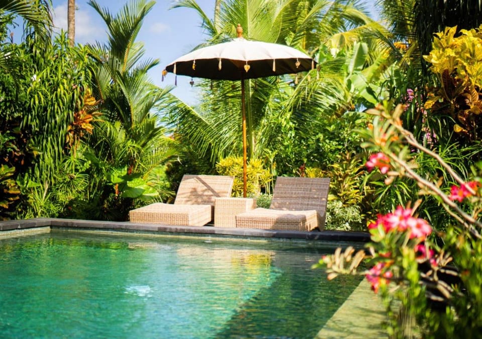 Day, Natural landscape, Garden, Garden view, Pool view, Swimming pool, sunbed