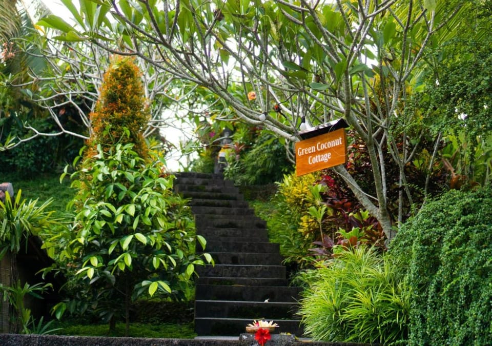 Natural landscape, Garden, Garden view