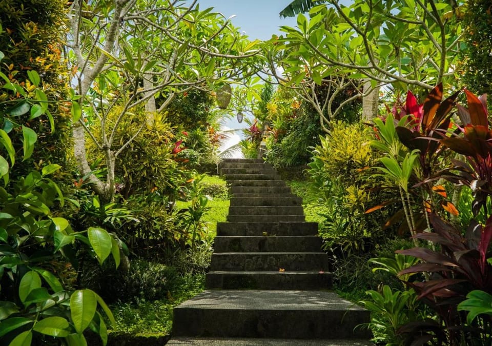 Garden, Garden view