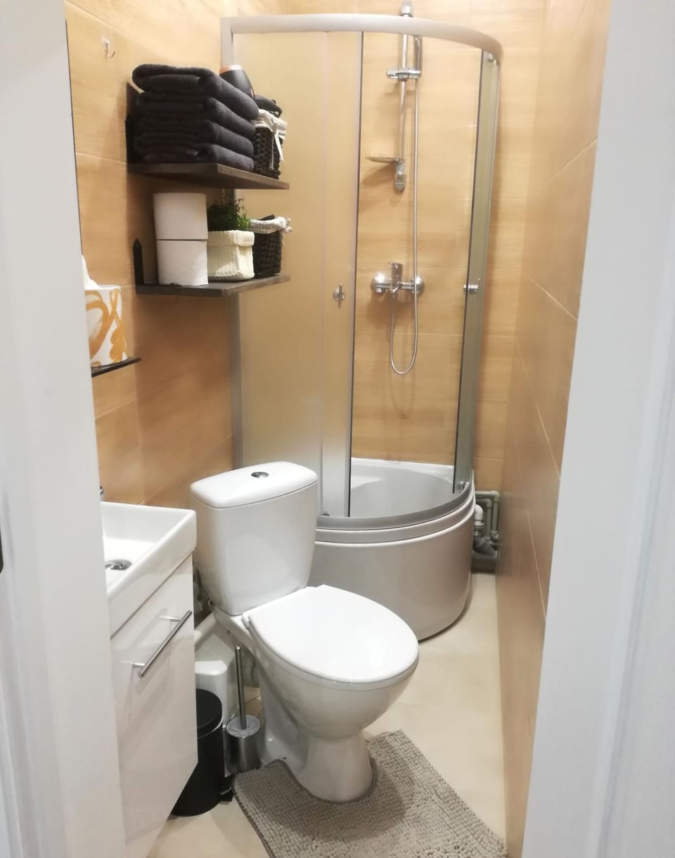 Shower, Toilet, Bathroom, towels