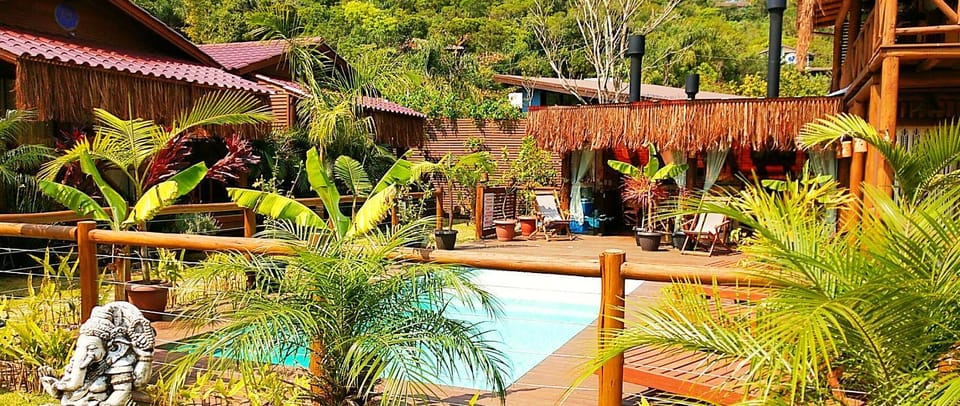 Garden, Garden view, Swimming pool