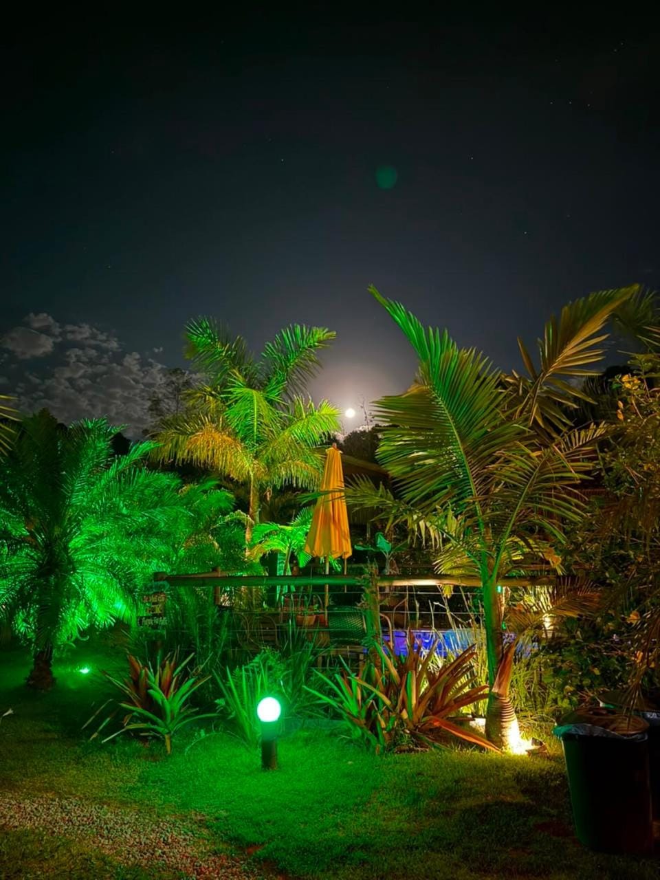 Night, Natural landscape, Garden, Garden view