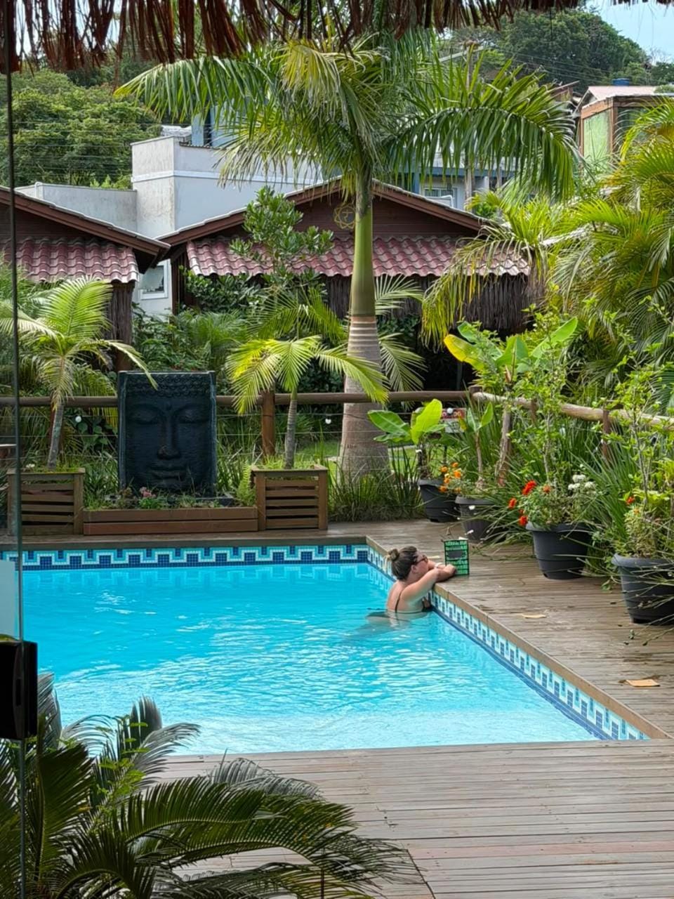 Garden, Pool view, Swimming pool