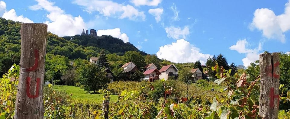 Neighbourhood, Natural landscape, Hiking, Garden view, Mountain view