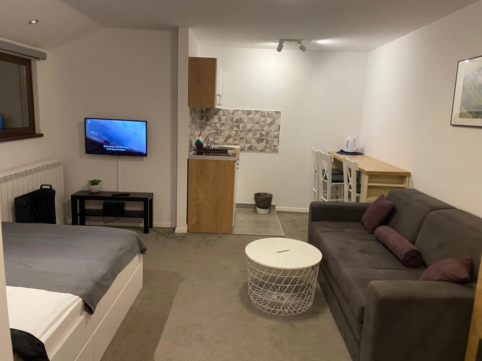 Bed, TV and multimedia, Kitchen or kitchenette, Living room, Photo of the whole room, Seating area