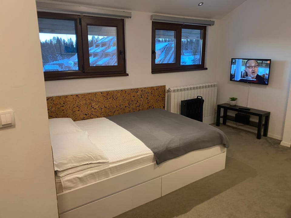Bed, TV and multimedia