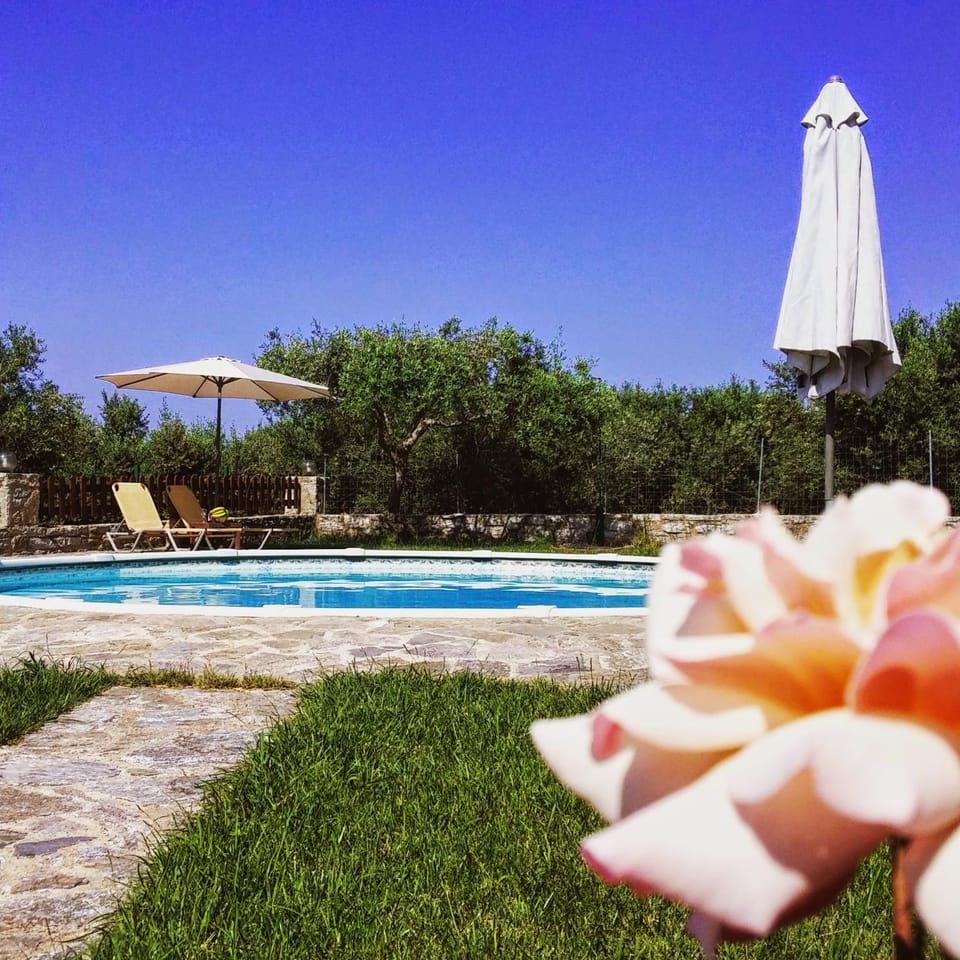 Garden, Swimming pool, Swimming pool