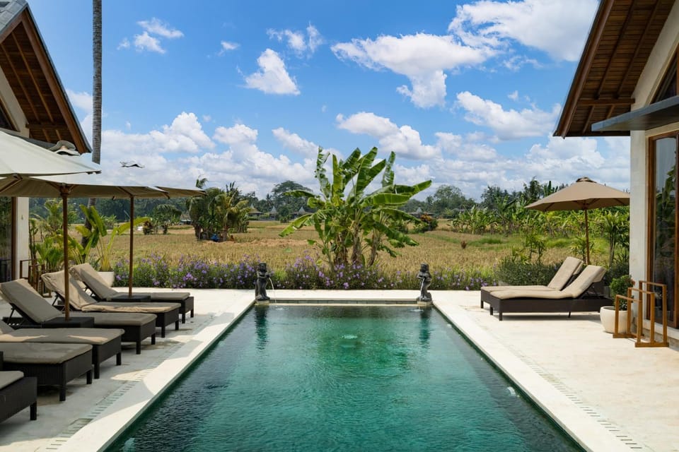 Natural landscape, Garden, Garden view, Pool view, Swimming pool, sunbed