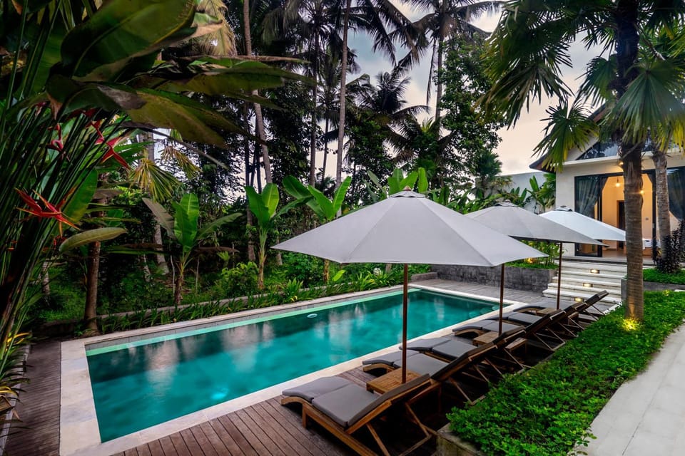 Garden view, Pool view, Swimming pool, sunbed