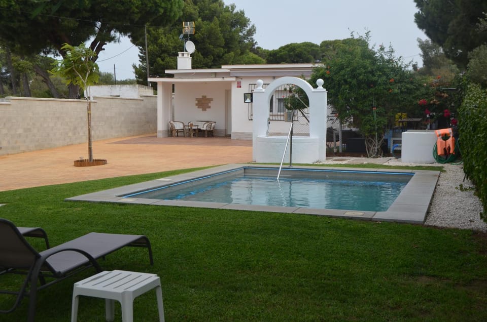 Garden, Swimming pool