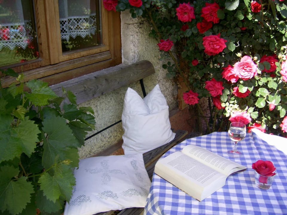 Sprenghof Apartment in Salzburgerland