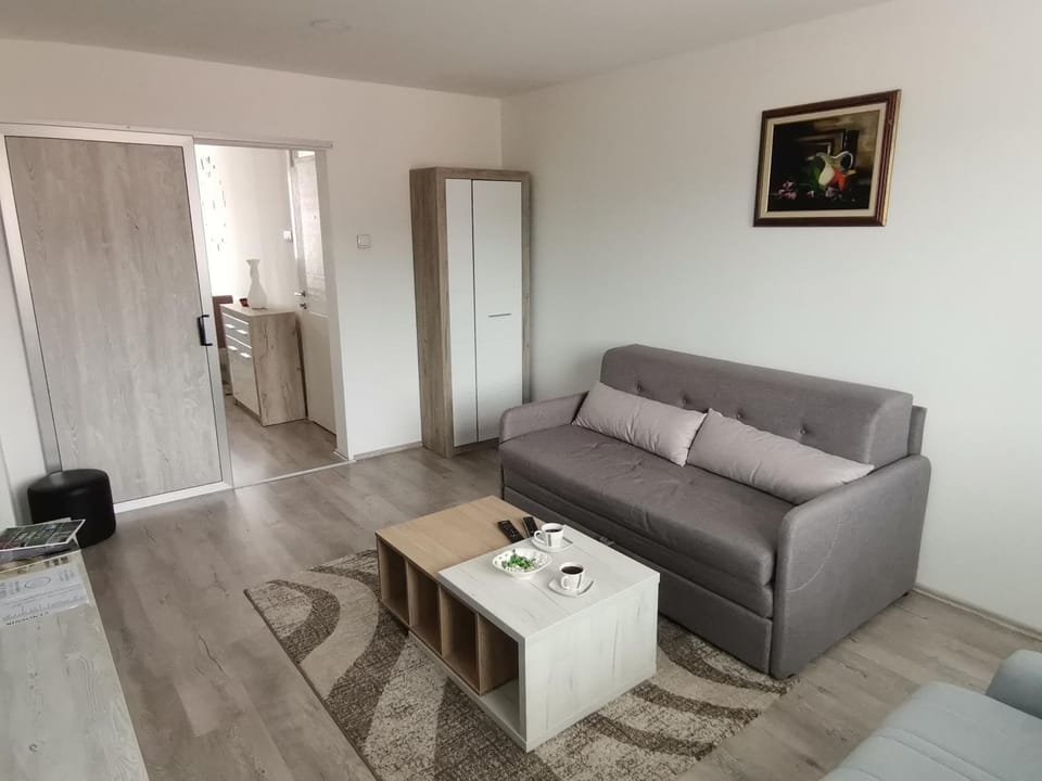 Fantastik Apartment in Zlatibor District, Serbia