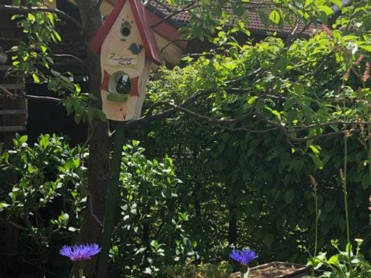 Haus Oberland Apartment in Salzburgerland