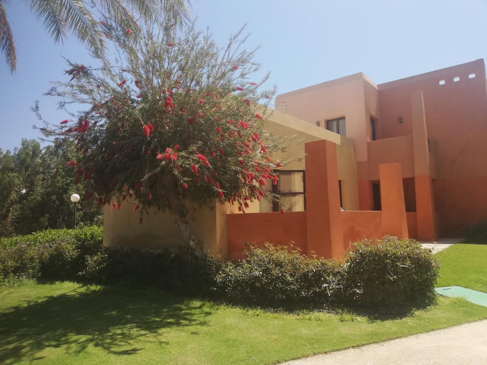 Property building, Garden view