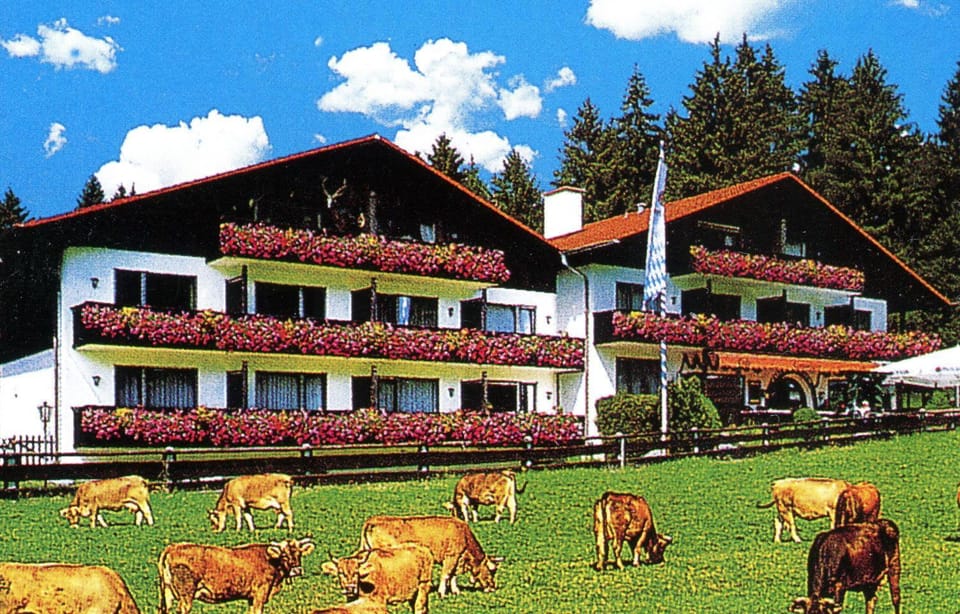 Facade/entrance, Area and facilities