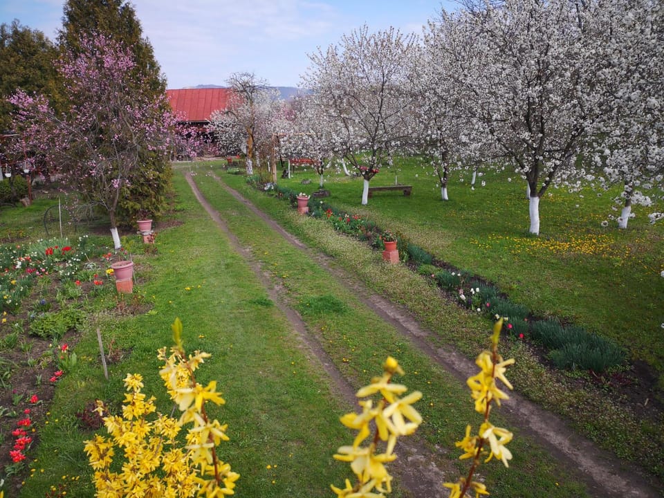 Property building, View (from property/room), Inner courtyard view