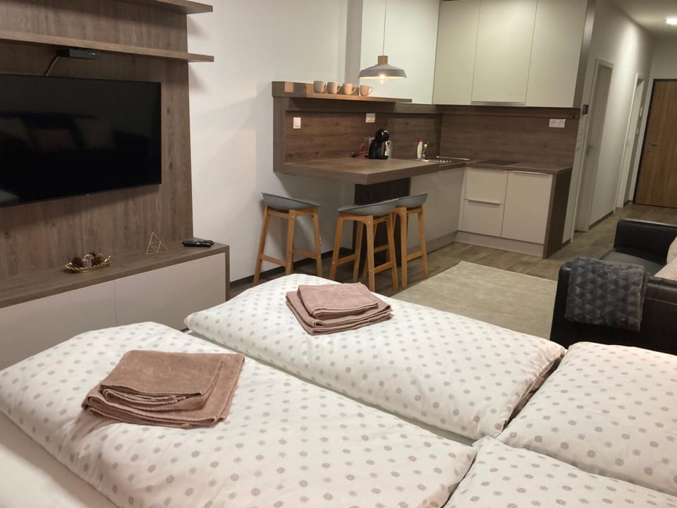 Communal lounge/ TV room, Bed, TV and multimedia, Living room, Photo of the whole room, Bedroom