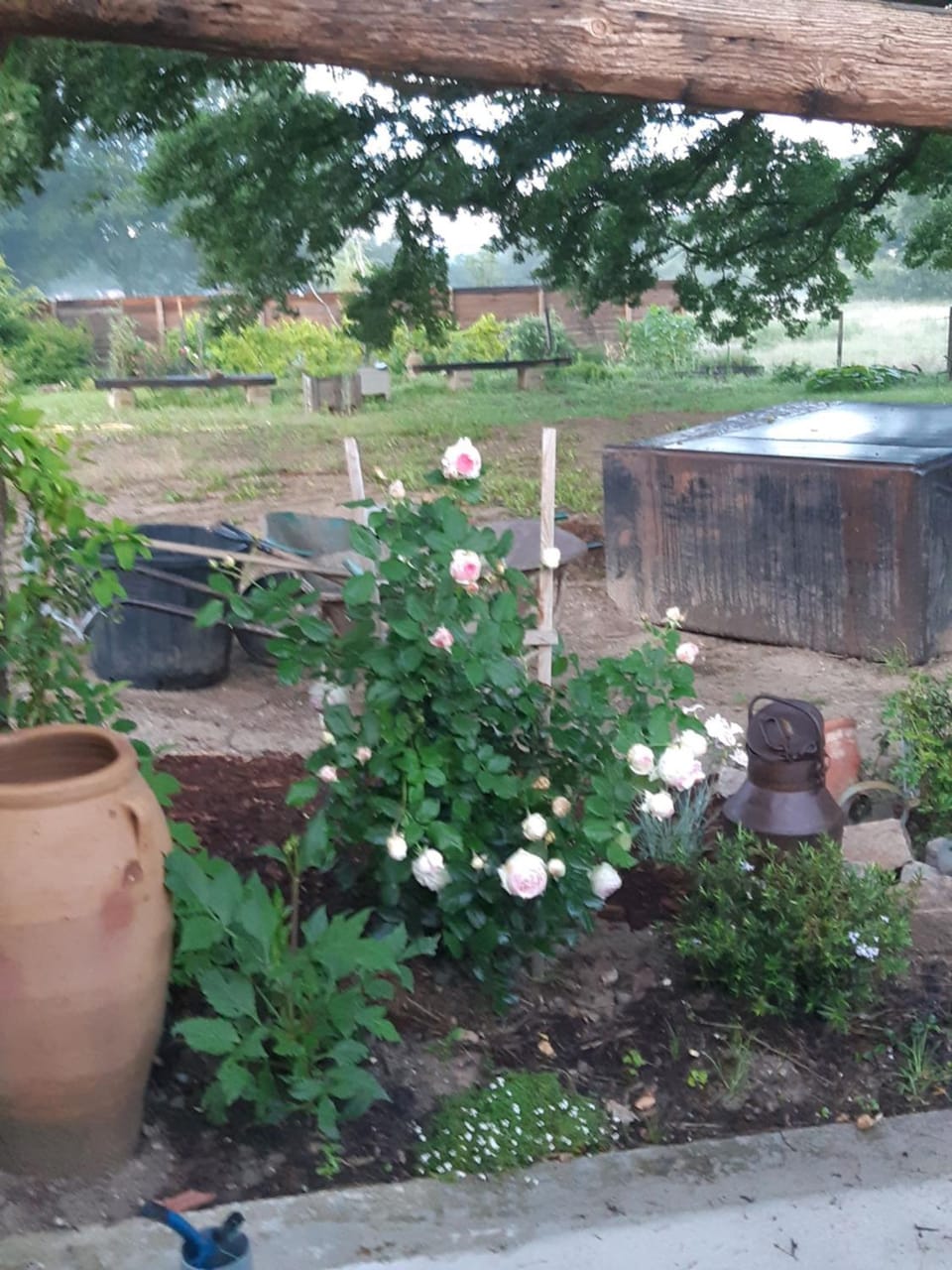 Garden, Garden view