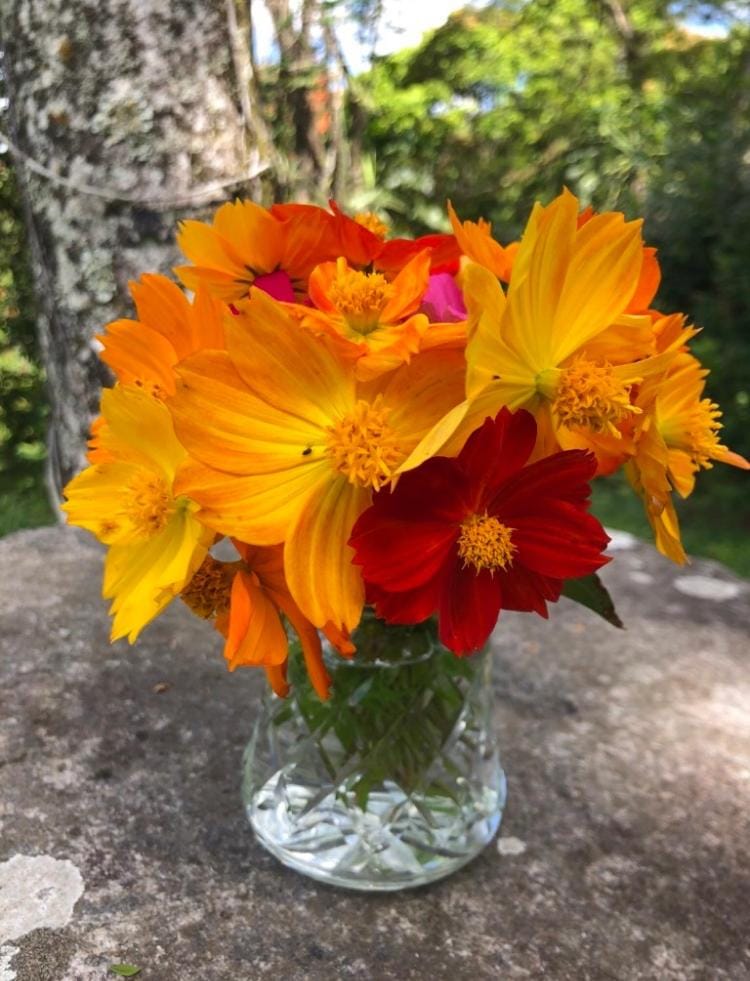 Vivenda dos Guaranys - um projeto ecológico - Loft House in State of Rio de Janeiro