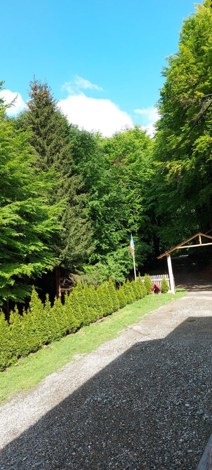Cabana Valea Bradului Campground/ 
RV Resort in Romania