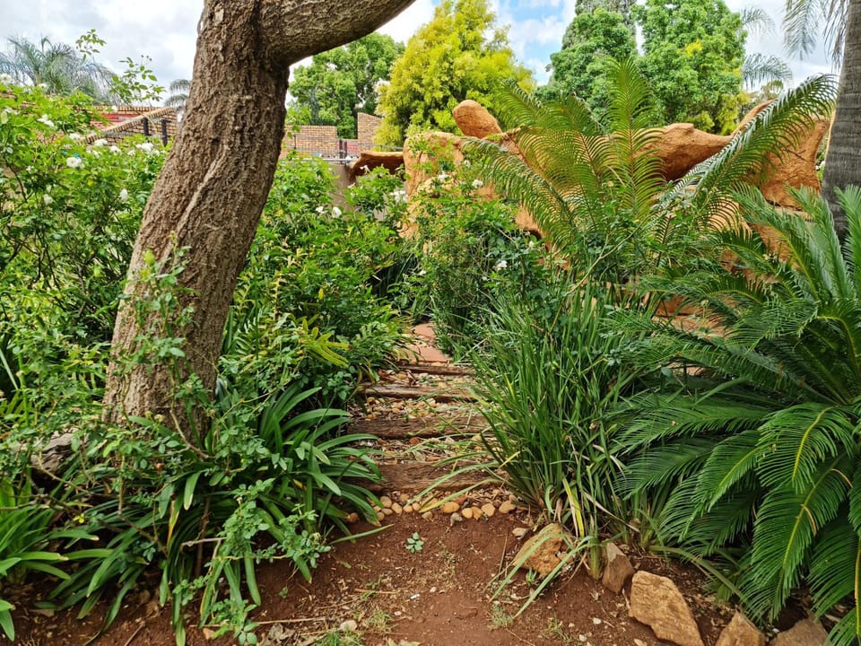 Natural landscape, Garden, Garden view