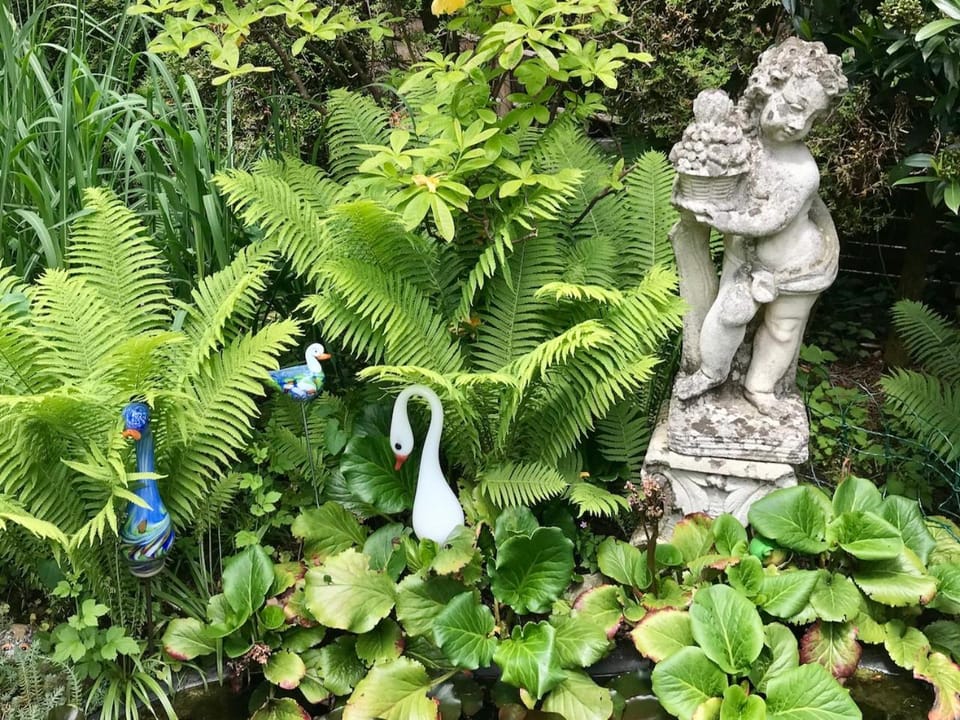 Ferienwohnungen Birkenhof Apartments Apartment in Salzburgerland