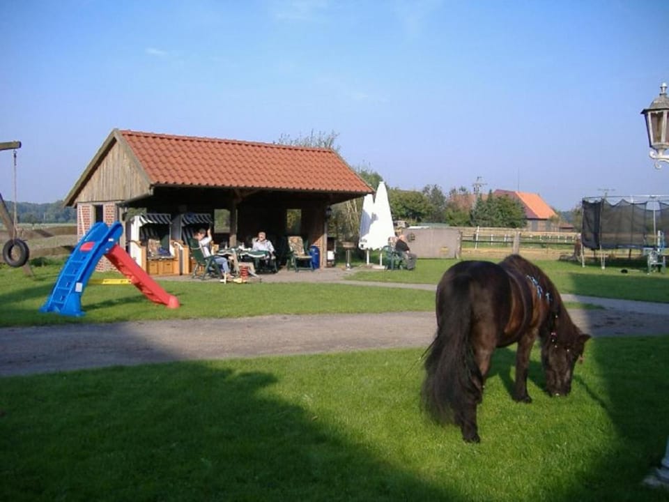 Property building, Other, Animals
