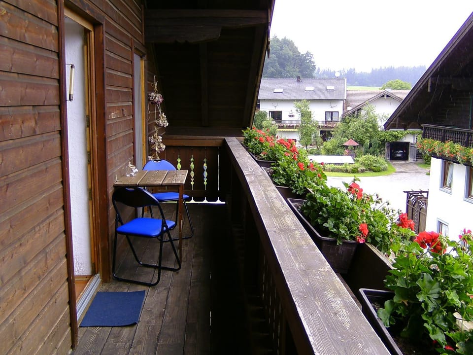 Ferienwohnung Schartner Apartment in Salzburgerland