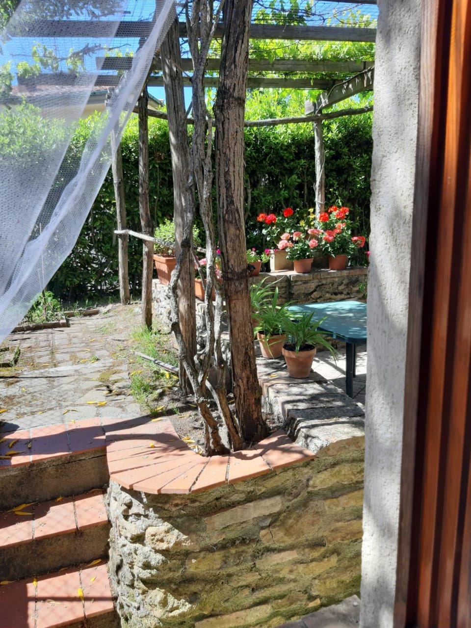 Garden, Garden view