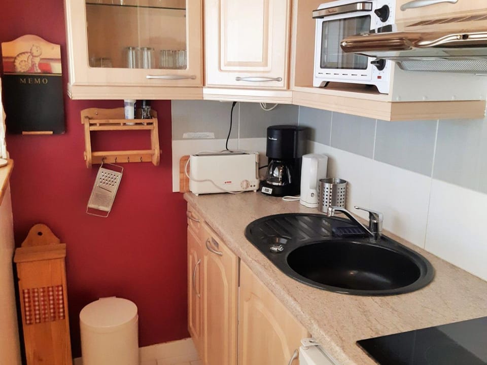 Studio calme aux Deux Alpes, accès pistes, animaux admis - FR-1-516-158 Apartment in Les Deux Alpes