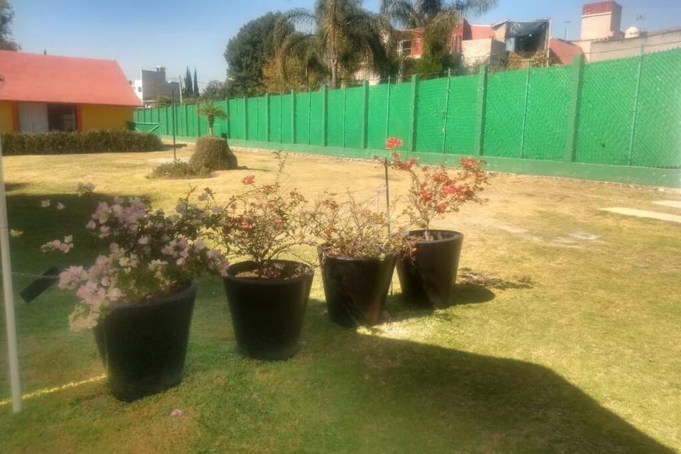 Garden view