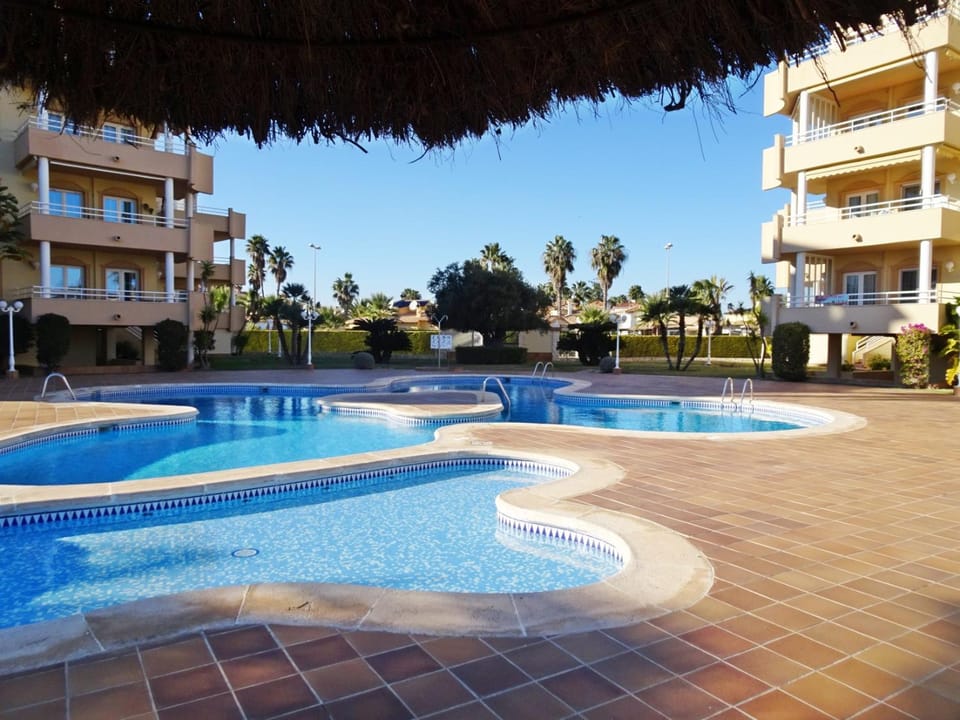 Garden, Swimming pool