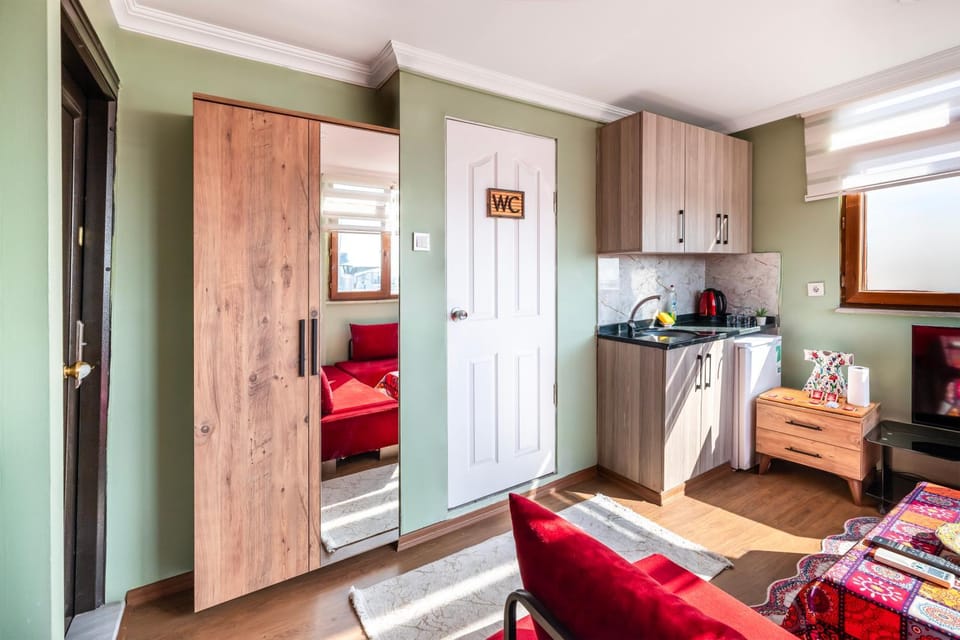 Kitchen or kitchenette, oven, stove