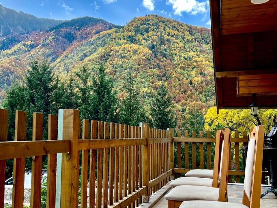 Villa Dardania Villa in Montenegro