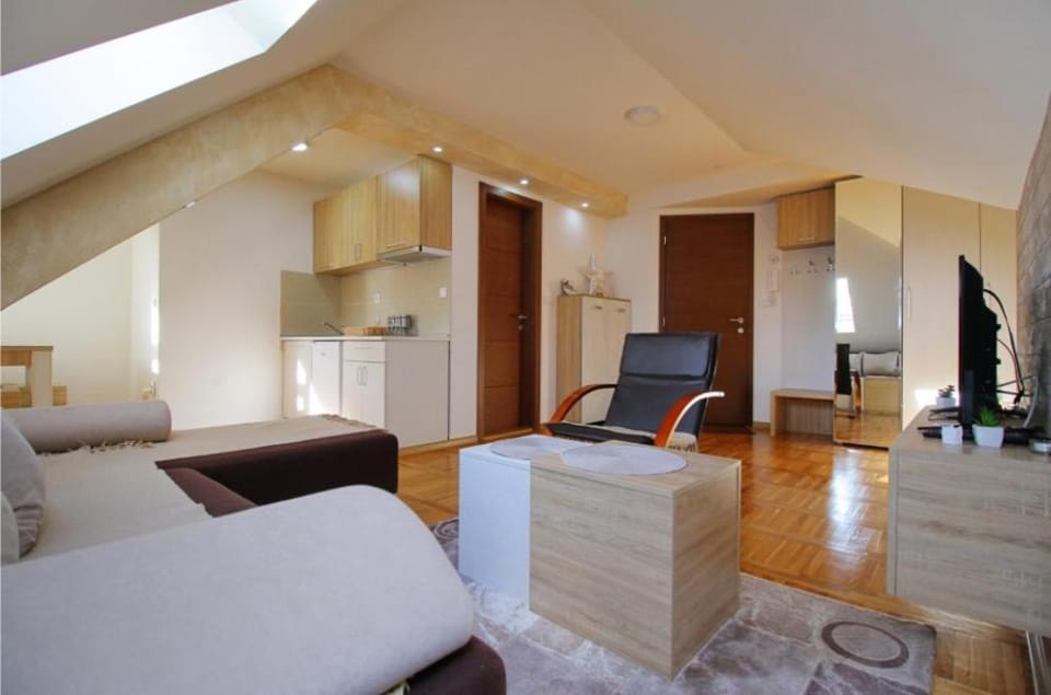 Apartman TEODOSIN Apartment in Zlatibor