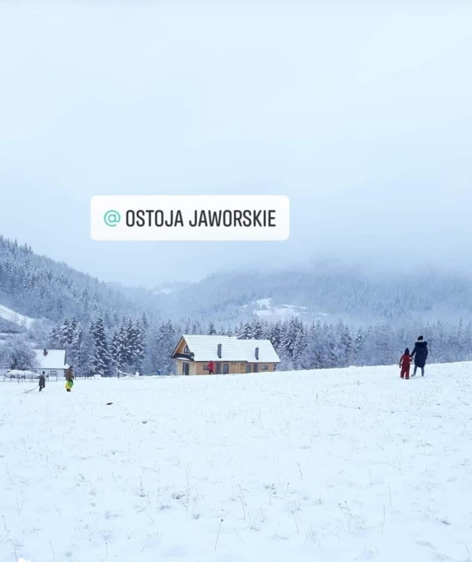 Winter, Mountain view
