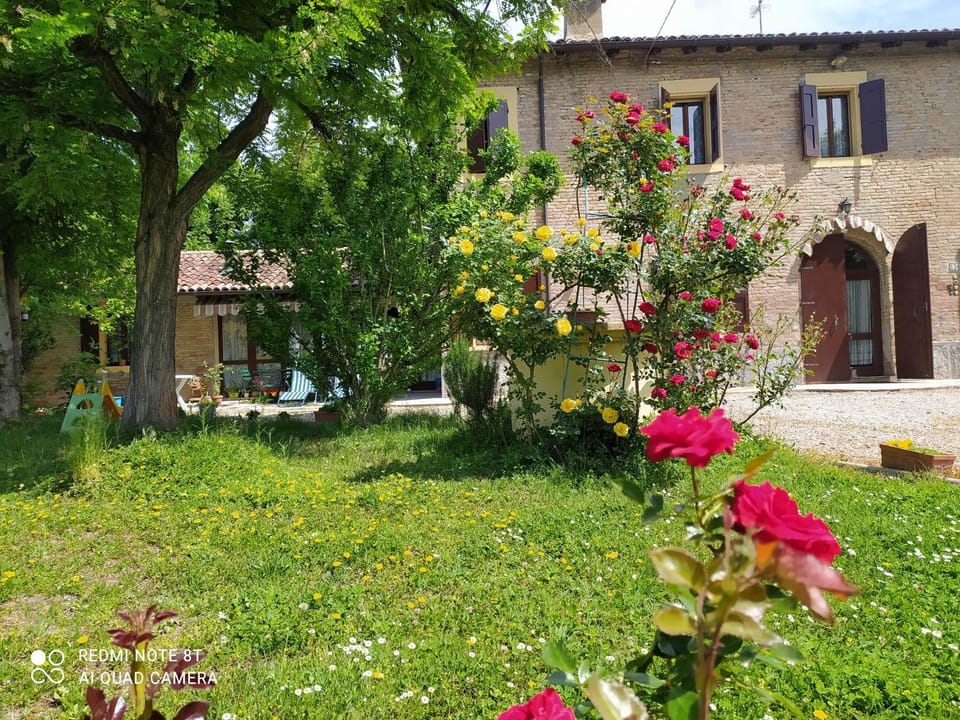 Facade/entrance, Garden