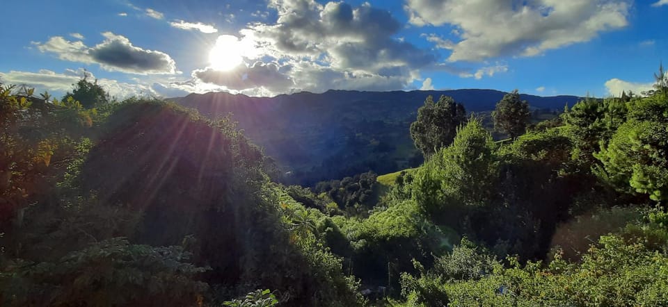 Natural landscape, View (from property/room), Mountain view