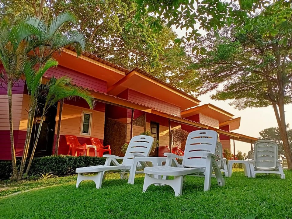 Property building, Patio, Day, Garden view, sunbed