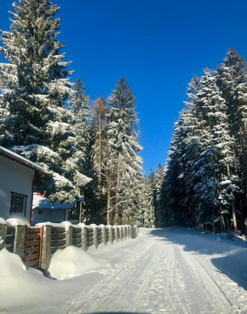 Day, Natural landscape, Winter