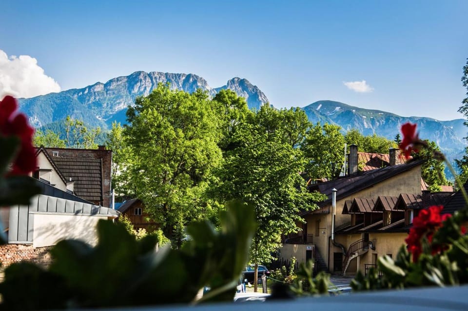 Willa Arkadia Vacation rental in Zakopane