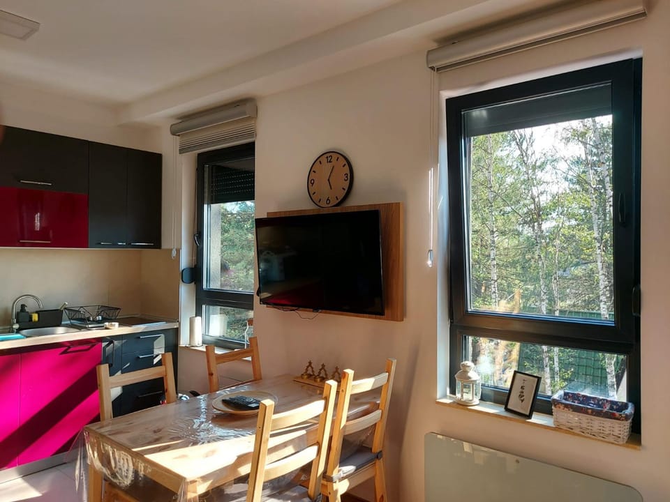 Communal lounge/ TV room, TV and multimedia, Kitchen or kitchenette, Living room, Seating area
